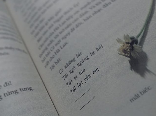 Vì sao Mắt Biếc là bộ phim chuyển thể đáng mong đợi nhất của điện ảnh Việt? - Ảnh 3. Vì sao Mắt Biếc là bộ phim chuyển thể đáng mong đợi nhất của điện ảnh Việt? - Ảnh 3.