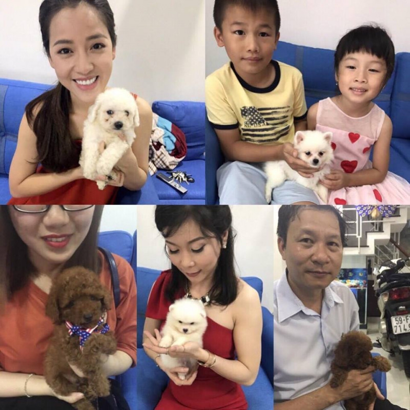 Cún ở cửa hàng Bin Bon Dog Shop