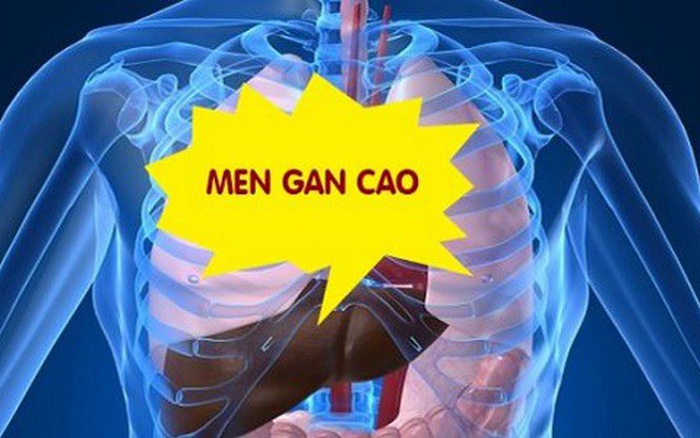 Káº¿t quáº£ hÃ¬nh áº£nh cho men gan cao