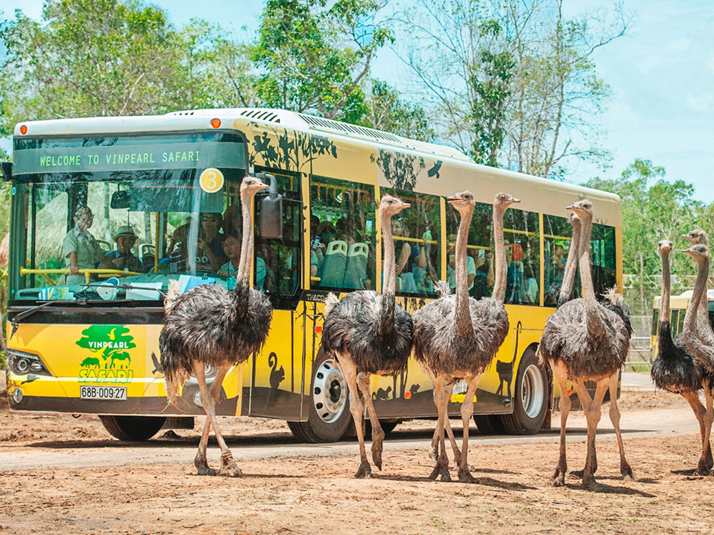 Khu Vinpearl Land và Safari là điểm đến lý tưởng ở Vinpearl Phú Quốc 