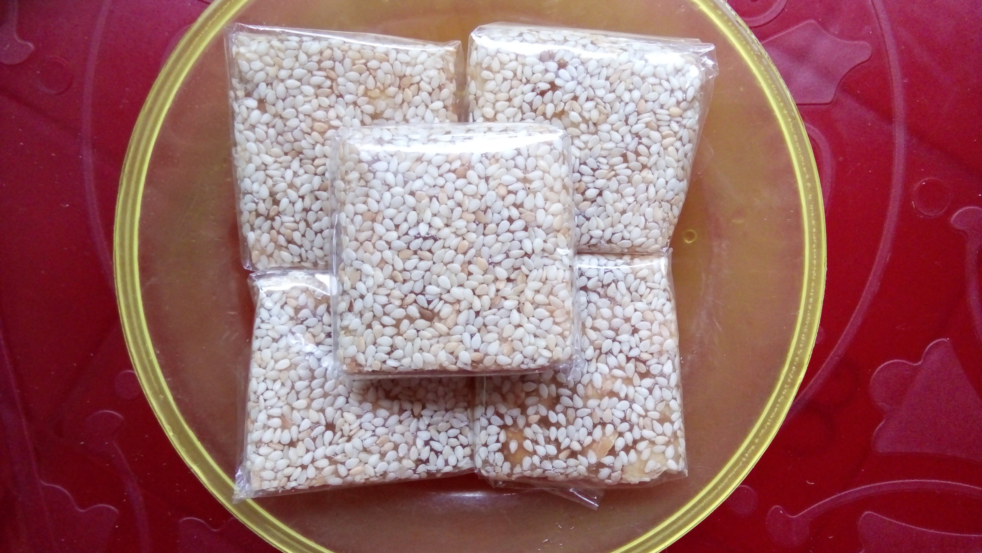 Thử qua món mè xửng đặc sản của miền Trung trong mâm bánh kẹo ngày Tết 