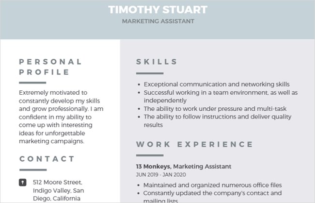 mẫu CV online