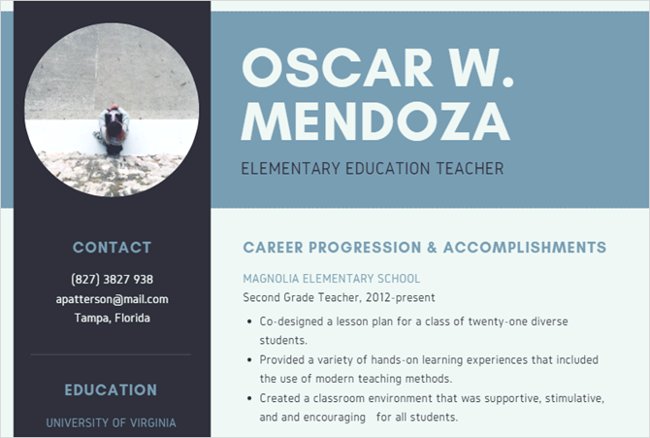 mẫu CV online