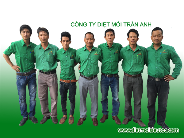 Đội ngũ nhân viên công ty diệt côn trùng trần Anh