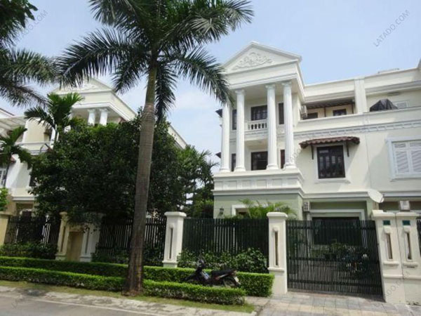 Cây phong thủy trước nhà - Cây Cau