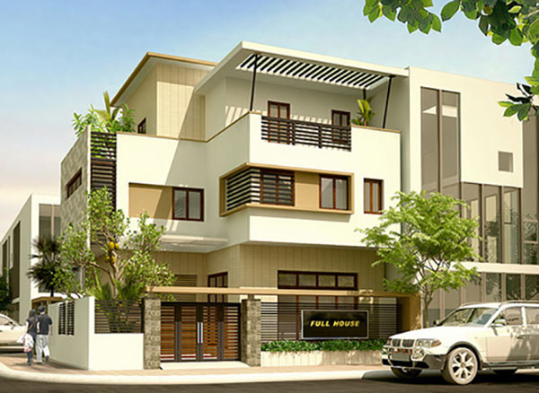 Cây phong thủy trước nhà - Cây Hoa hòe