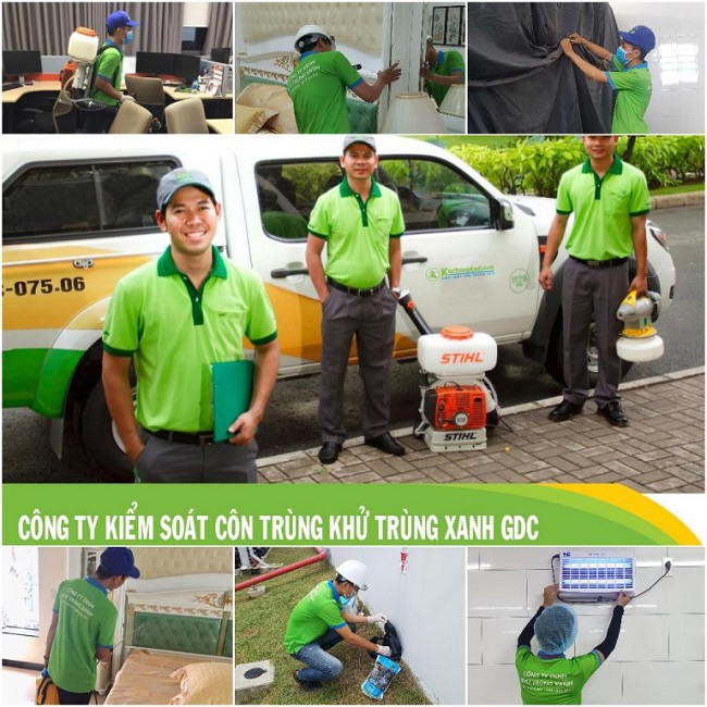 Công ty diệt côn trùng Khử trùng xanh