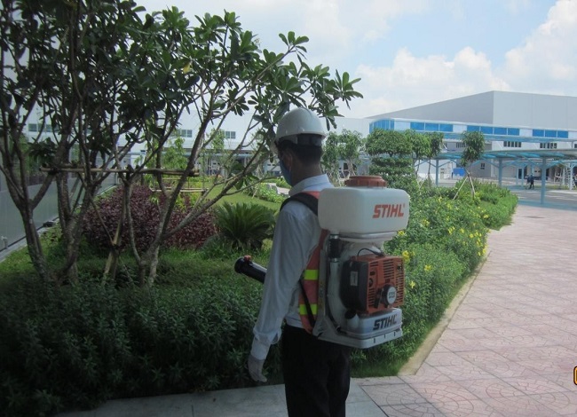 Hình ảnh nhân viên kỹ thuật Hùng Thịnh phun thuốc
