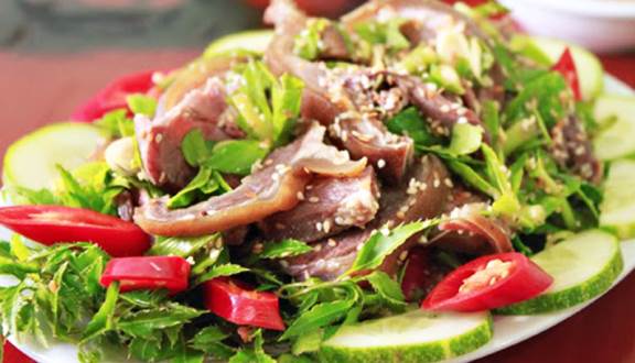 Kết quả hình ảnh cho Dê Vàng Bắc Hải