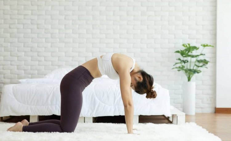 bài tập thể dục nhẹ nhàng chữa mỏi lưng