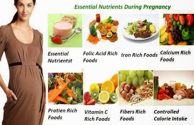 Dinh dưỡng khi mang thai 3 tháng đầu mẹ bầu cần phải biết - Dinh ...