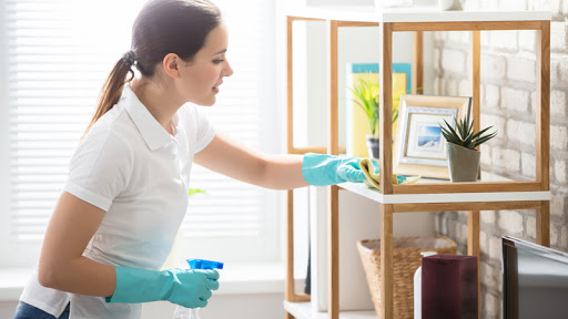 Điểm danh những công việc nhà mẹ bầu không nên làm trong thời kỳ ...