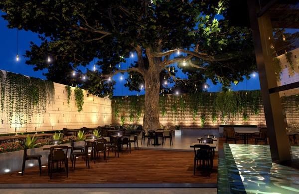 Cách bố trí đèn LED chiếu cây cho quán cafe