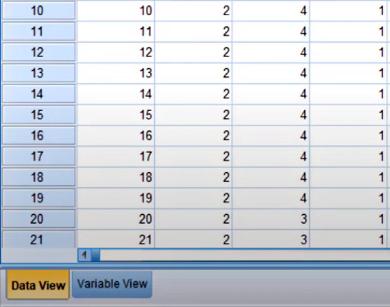 Chọn tab Data View ở cuối trang