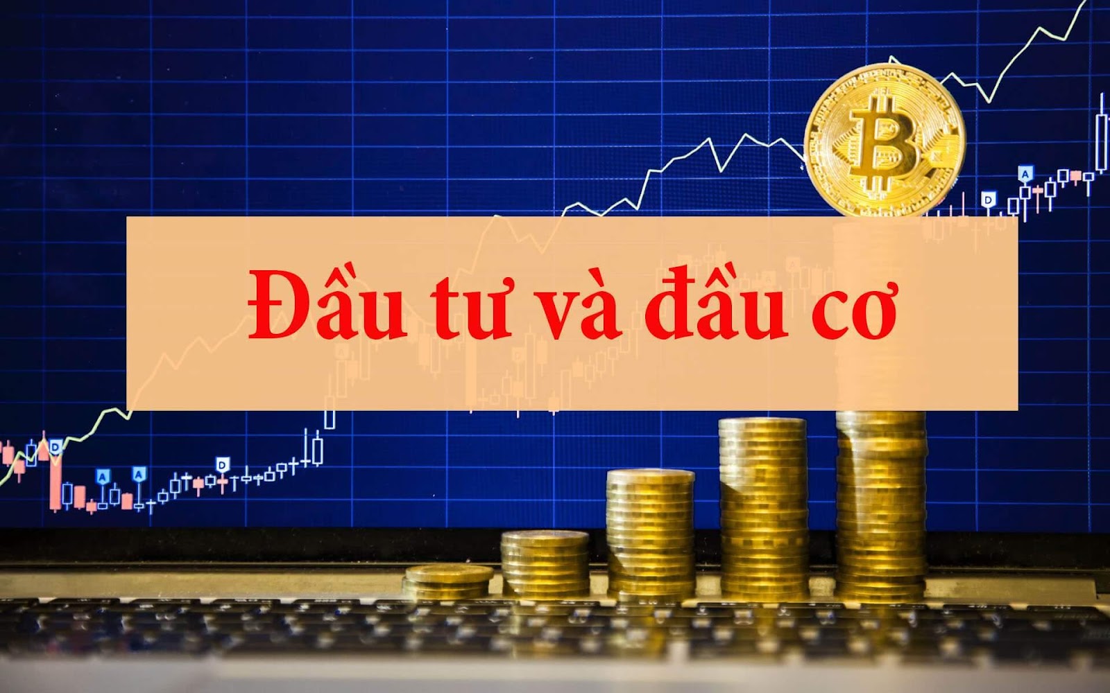 Sự khác nhau giữa đầu cơ và đầu tư