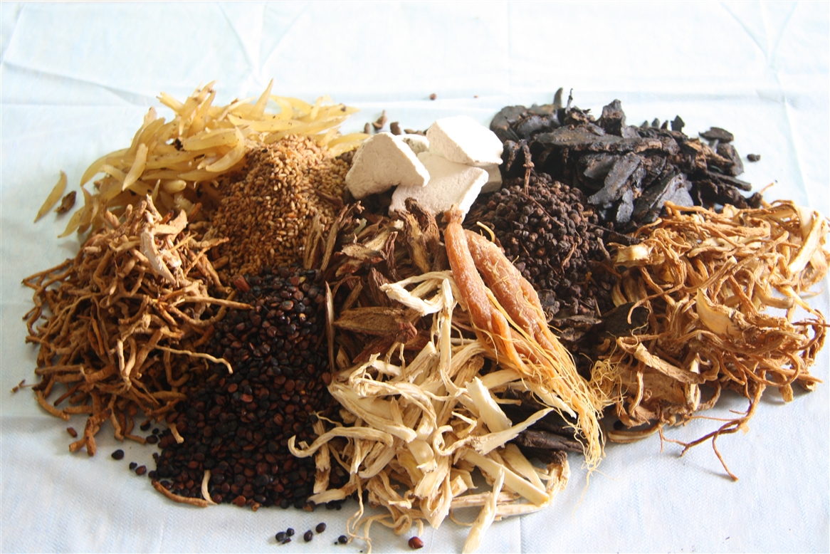 Nhà thuốc đông y tại TPHCM 2