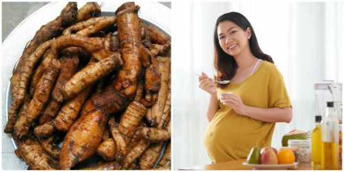 Uống nhiều củ gai có tốt không 2