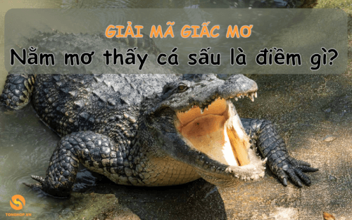 Nằm mơ thấy cá sấu là điềm gì - Tonghop.vn (1)
