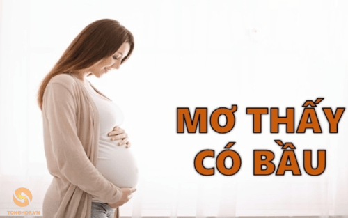 Nằm mơ thấy có bầu là điềm gì - Tonghop.vn (1)
