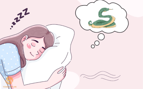 Nằm mơ thấy rắn là điềm gì - Tonghop.vn (1)
