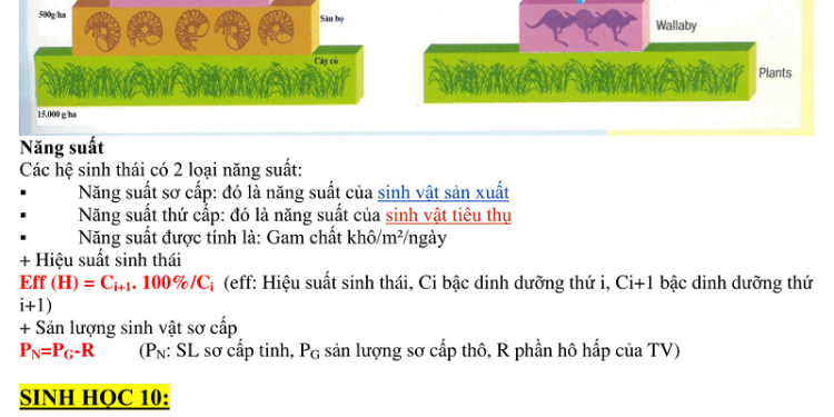 12_TongHopCongThucSinh-57