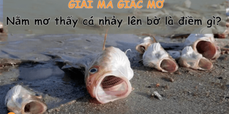 Nằm mơ thấy cá nhảy lên bờ là điềm gì - Tonghop.vn