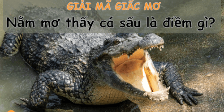 Nằm mơ thấy cá sấu là điềm gì - Tonghop.vn (1)
