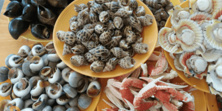 Quán ốc ngon Bình Thạnh