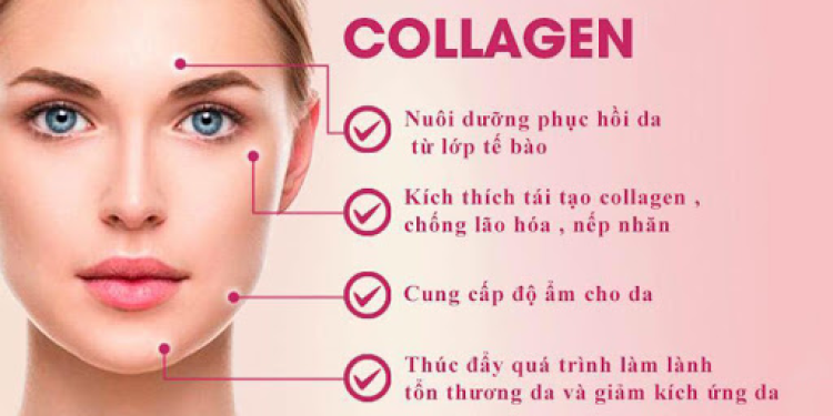 Cong Dung Cua Collagen