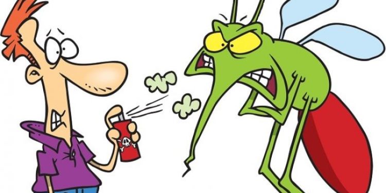 dịch vụ diệt muỗi