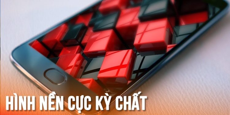hình nền đông cho điện thoại android