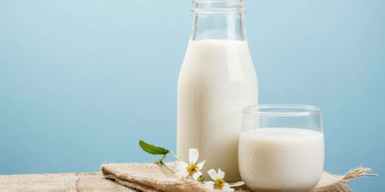 Sữa Tăng Cân Cho Người Gầy