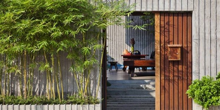 trồng cây trước nhà