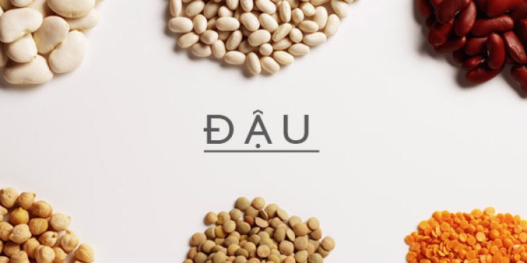 tác dụng của các loại hạt đậu